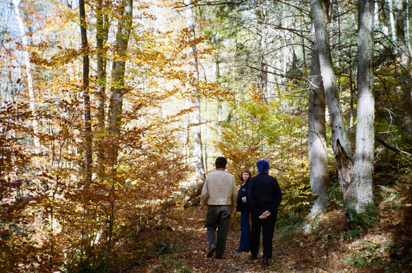 Photo shot on Contax T2, image 2