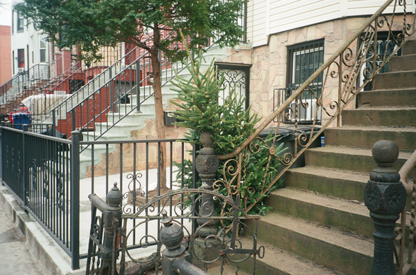 Photo shot on Pentax Espio 80, image 6