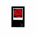 Polaroid SX-70 Manuals :: Vintage