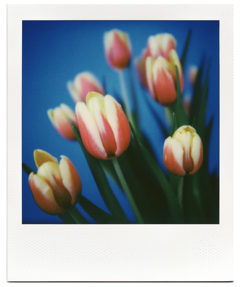 Macro Lens Set