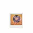 Polaroid GO :: Color Film