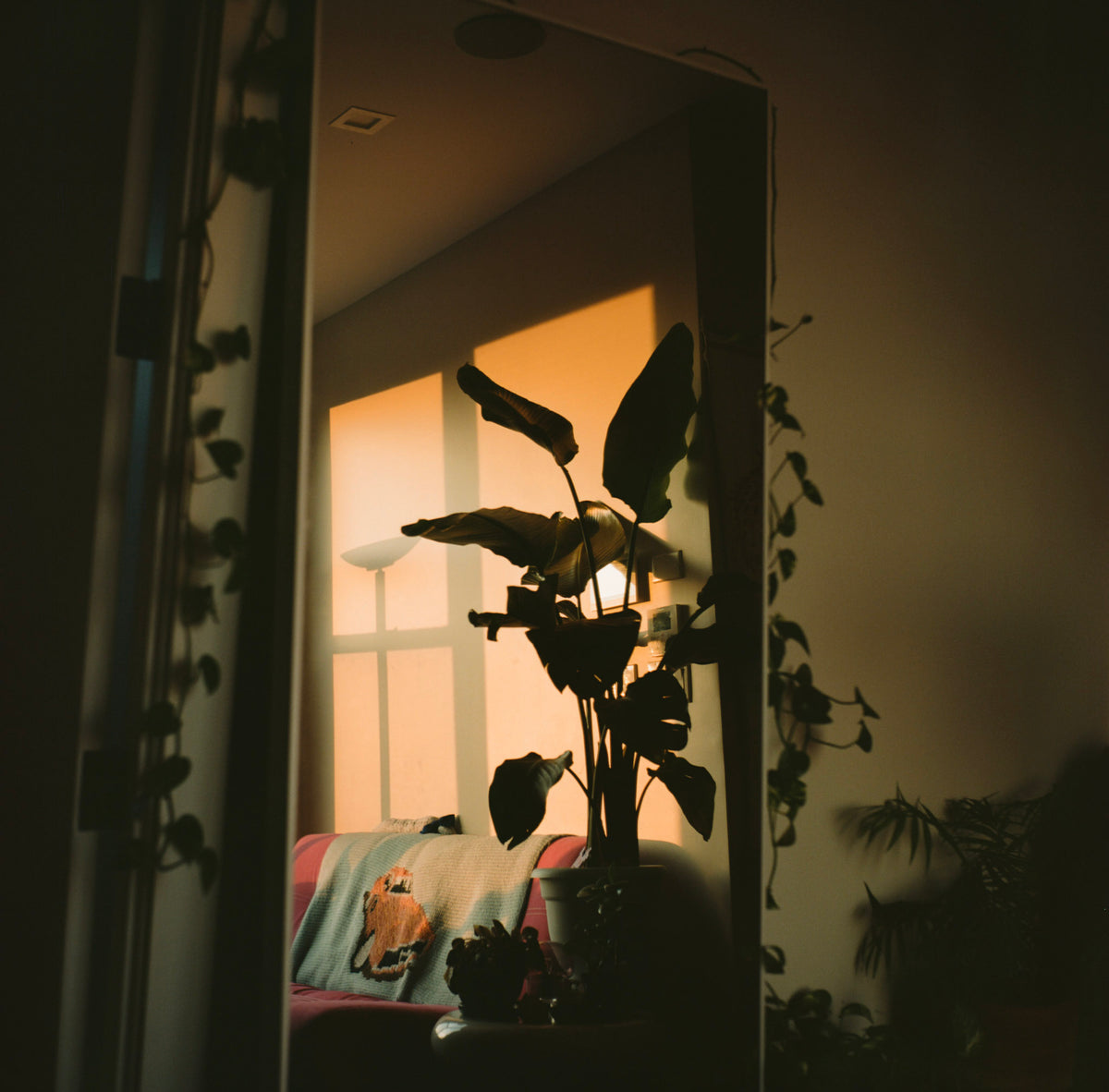 Shot on the Contax G1