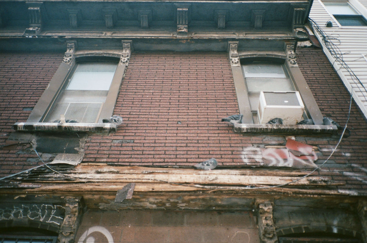 Shot on the Yashica T3 / Kyocera T Scope