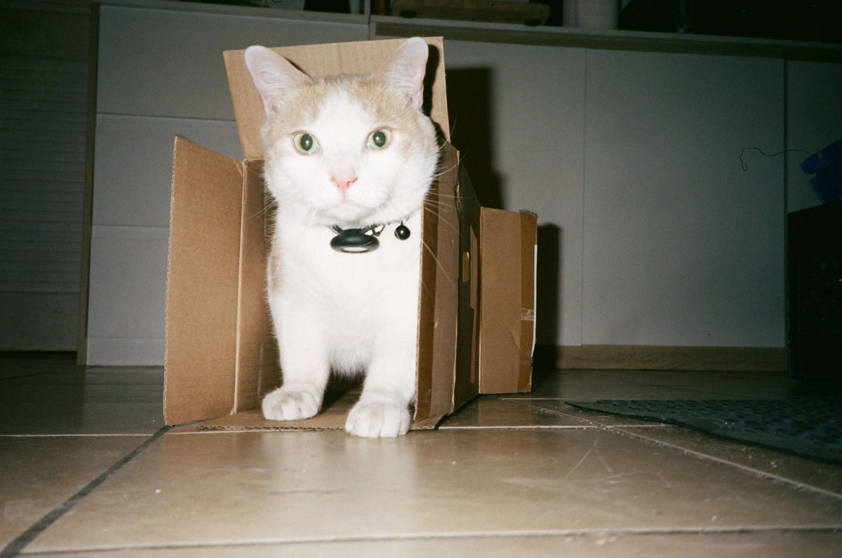 Shot on the Yashica T3 / Kyocera T Scope