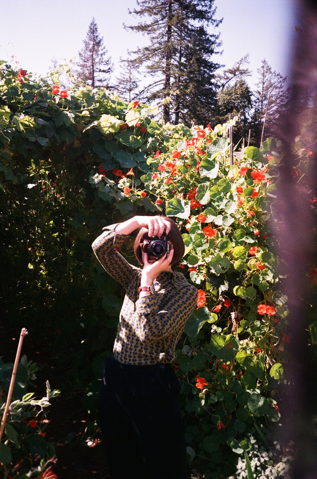 Shot on the Minolta Maxxum 7000