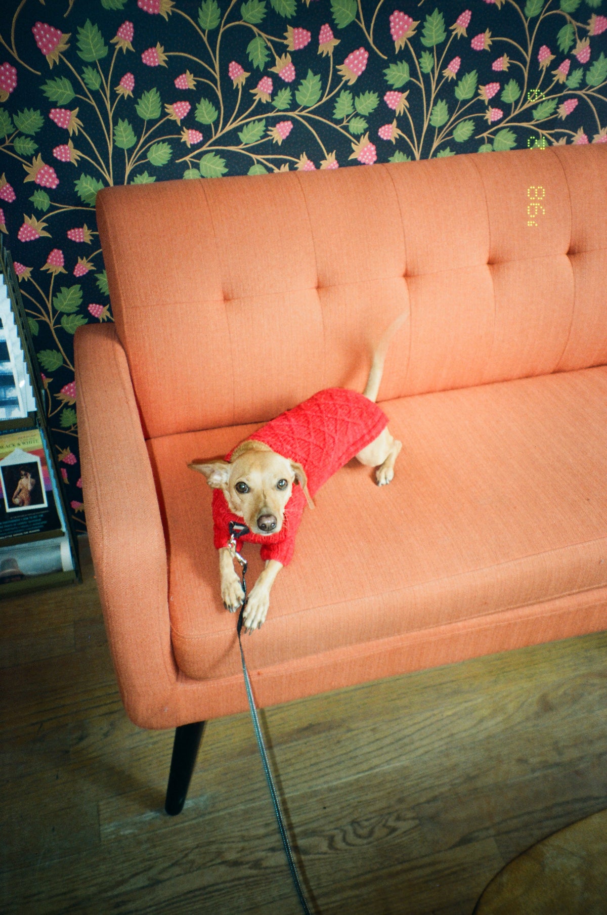 Shot on the Minolta Explorer Freedom Zoom EX