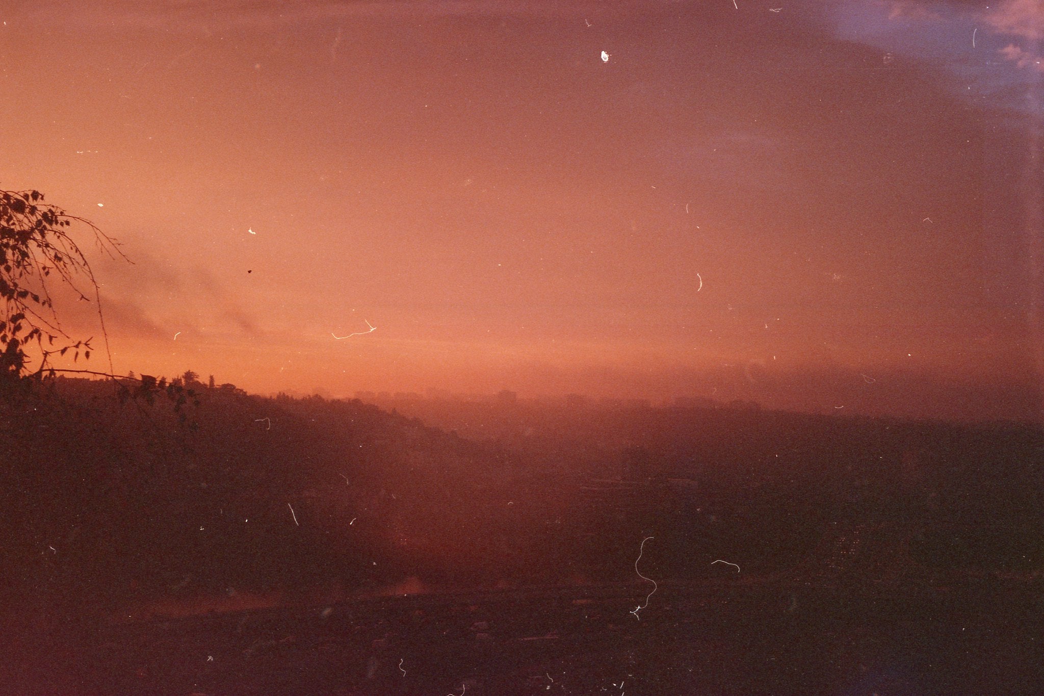 Random Expired Film – Brooklyn Film Camera