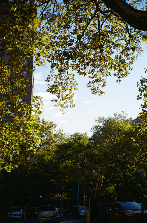 Eastman Kodak Kodacolor 100 | Color sample