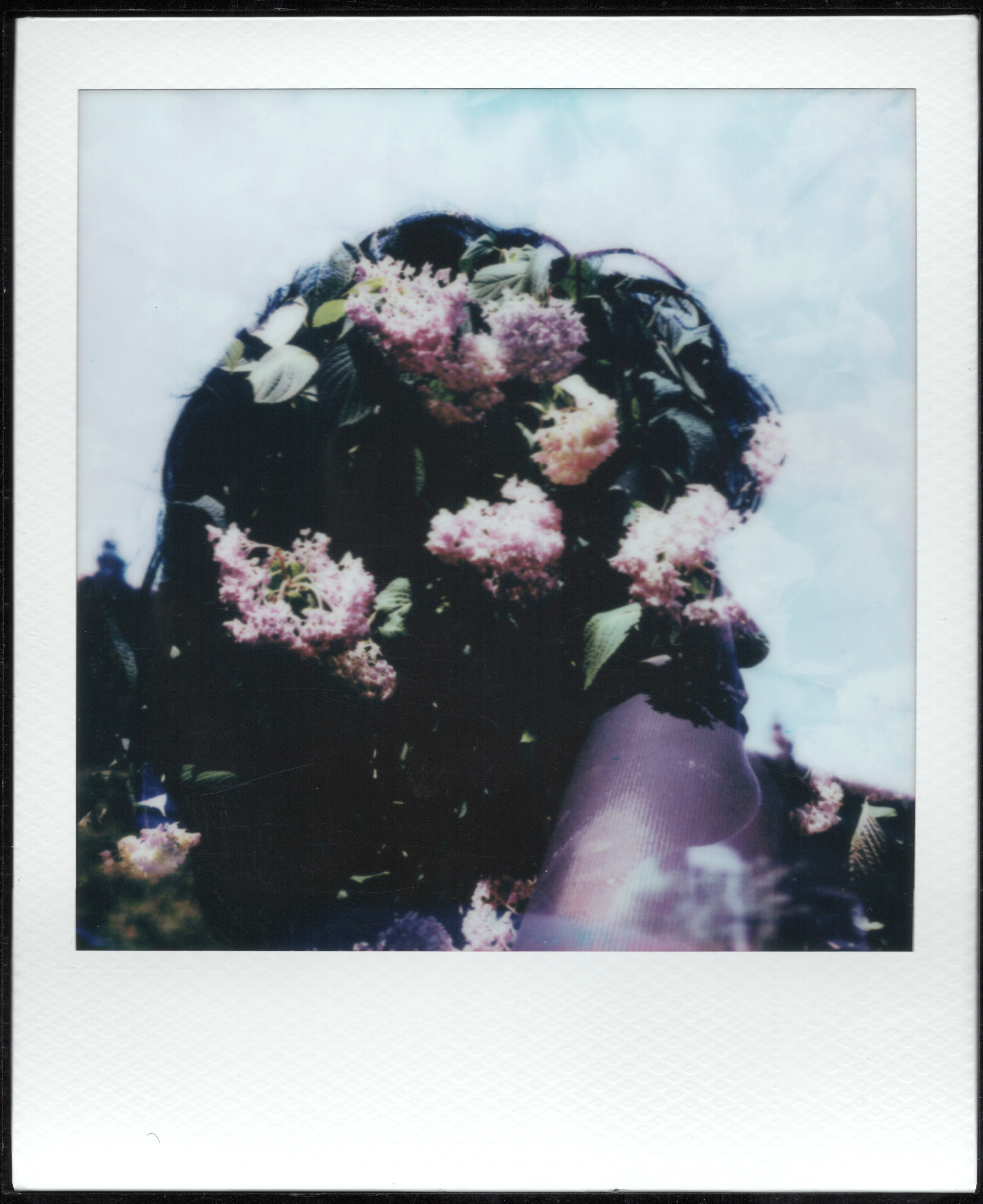 Polaroid SX-70 Alpha 1 – Brooklyn Film Camera