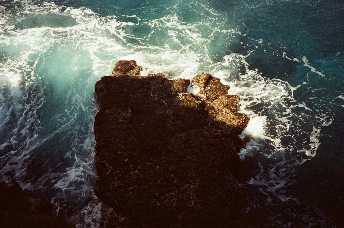 Shot on the Minolta Freedom Zoom