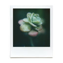 Macro Lens Set