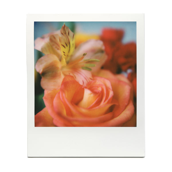 Shot with the Macro Lens Set on Polaroid film by Brendon Parker