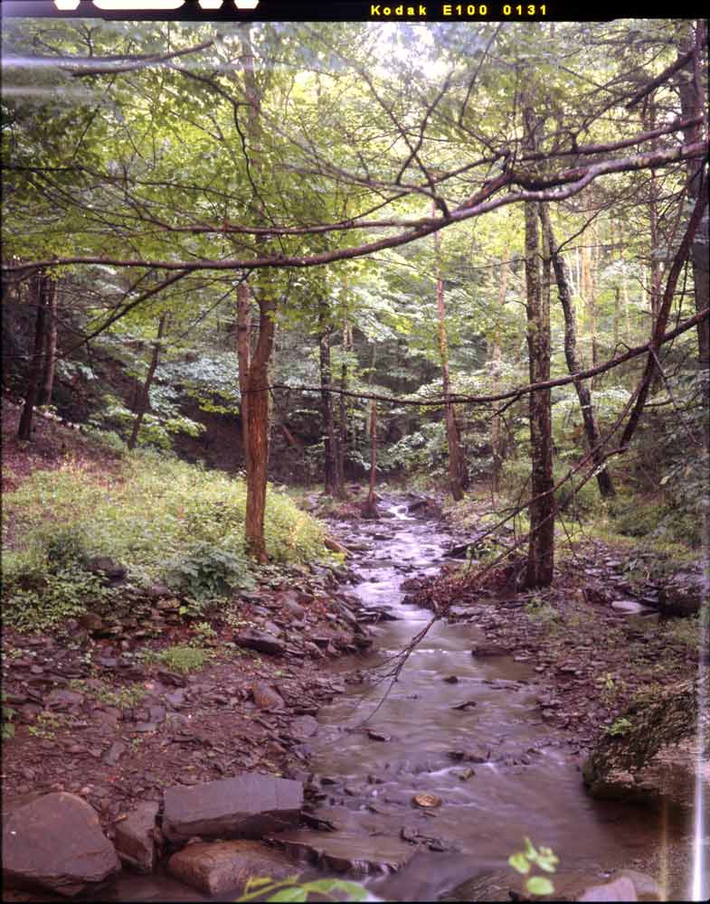 Kodak E100 | 4x5 inch Color Positive Film (Slide Film)