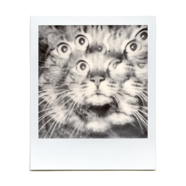Shot with the Kaleidoscope Prism on Polaroid film by Kyle Depew