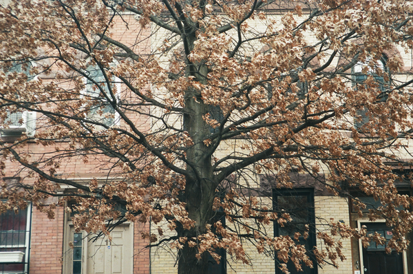 Photo shot on Pentax Espio 80, image 1
