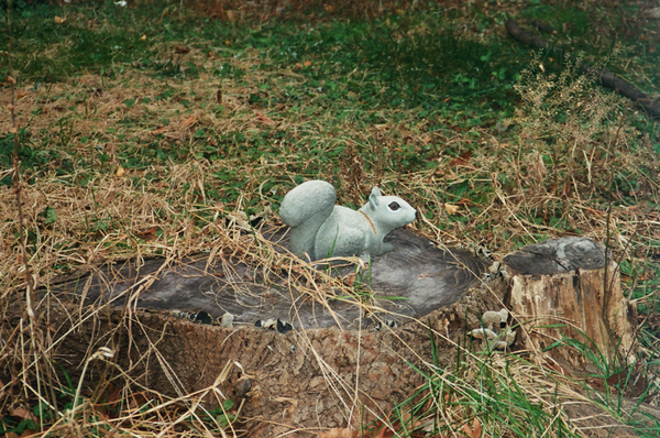 Photo shot on Pentax Espio 80, image 2