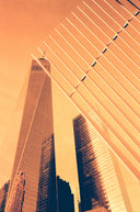Harman Red :: Redscale