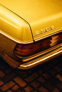Harman Red :: Redscale