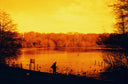Harman Red :: Redscale