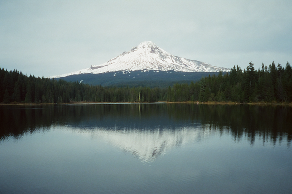 Photo shot on Minolta Hi Matic AF2, image 3