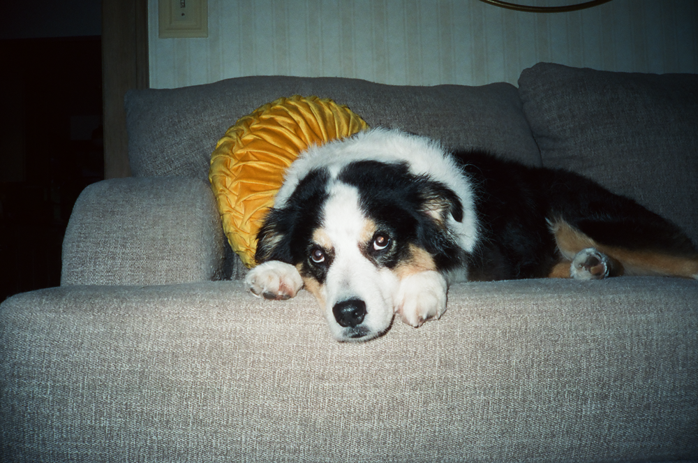Shot on the Minolta Hi Matic AF2