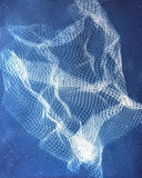 Cyanotype Workshop