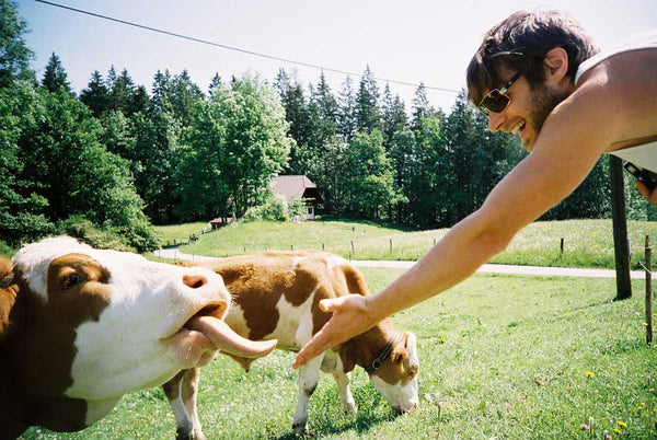 Lomography 400 Color sample