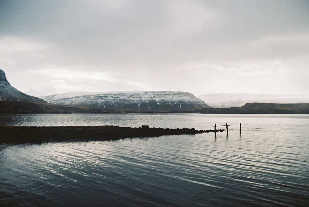 Lomography 400 Color