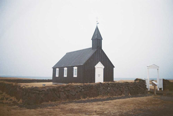 Lomography 400 Color sample