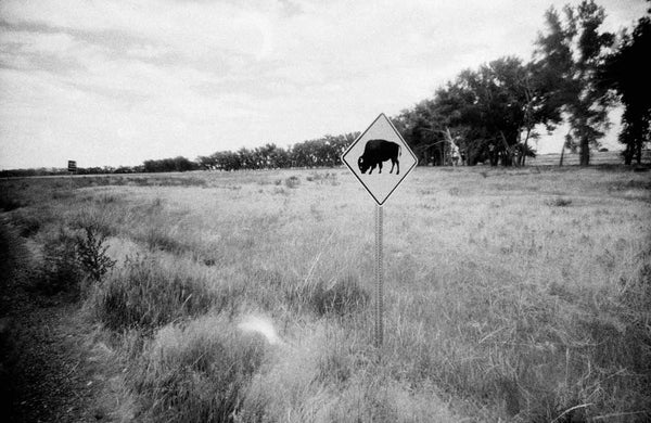 Lomography Lady Grey :: B&W sample