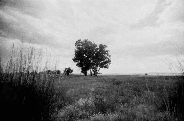 Lomography Lady Grey :: B&W sample