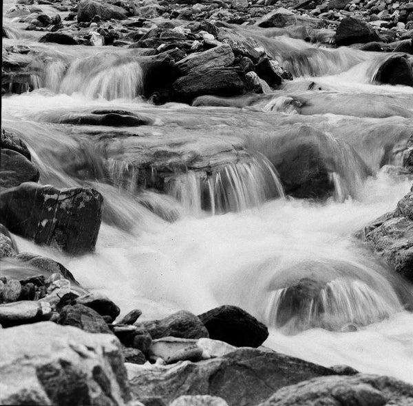 Lomography Lady Grey :: B&W sample