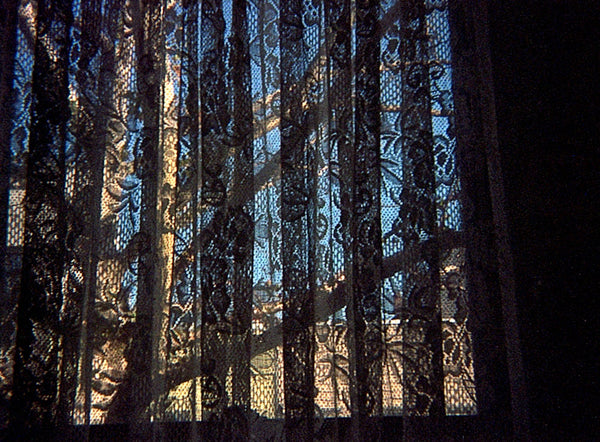 Lomography Tiger | Color sample