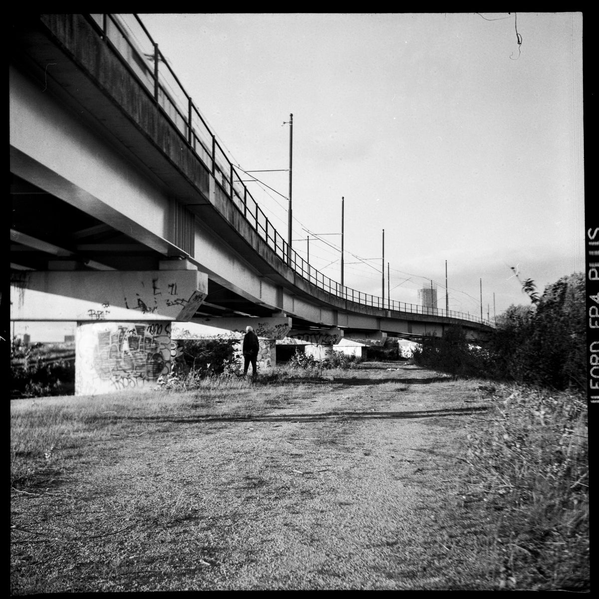 Lomo Lubitel 166B