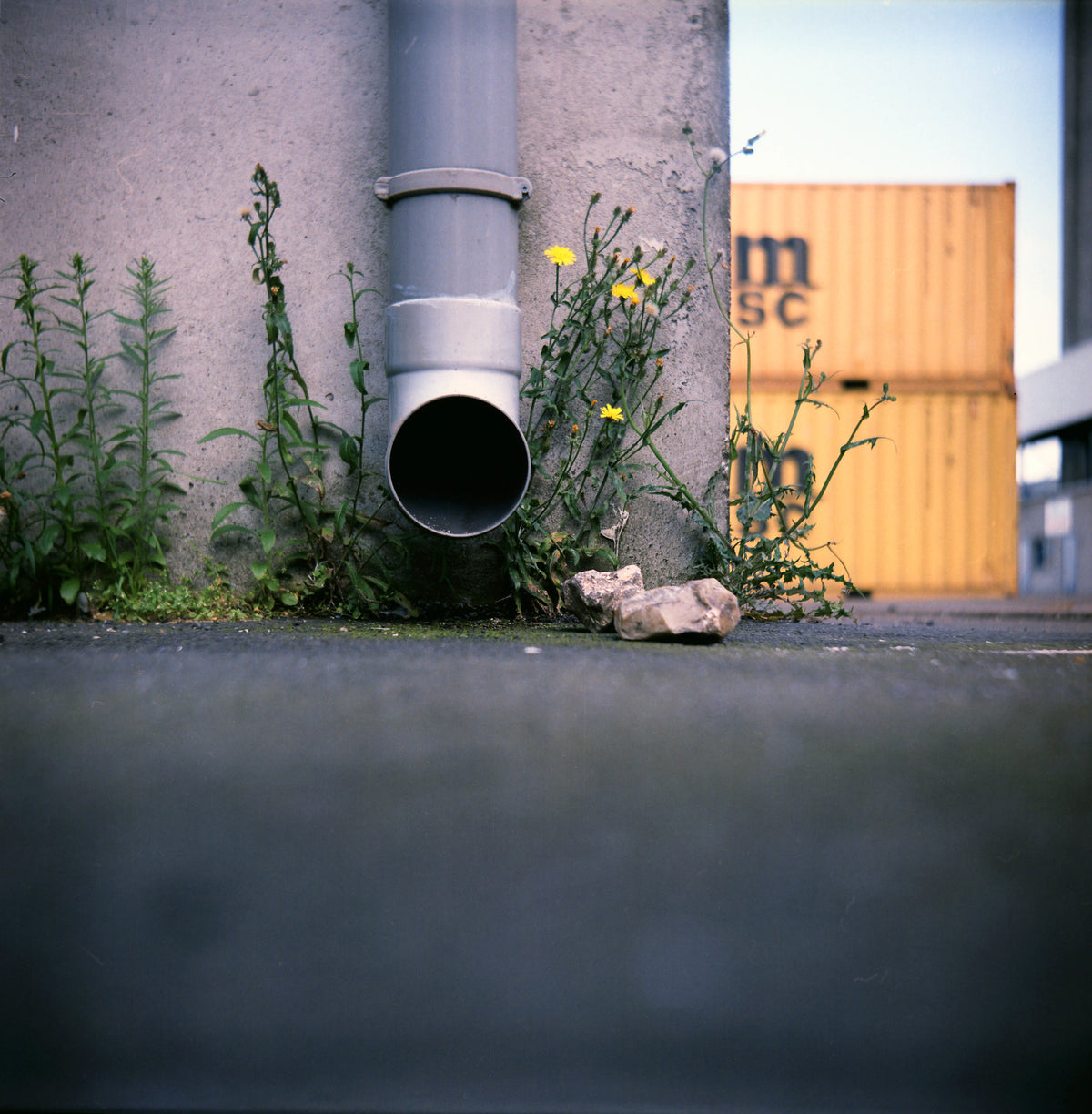 Lomo Lubitel 166B