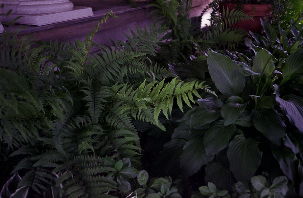 Shot on the Olympus Stylus MJU