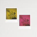 MiNT SX-70 Flashbar 2.0