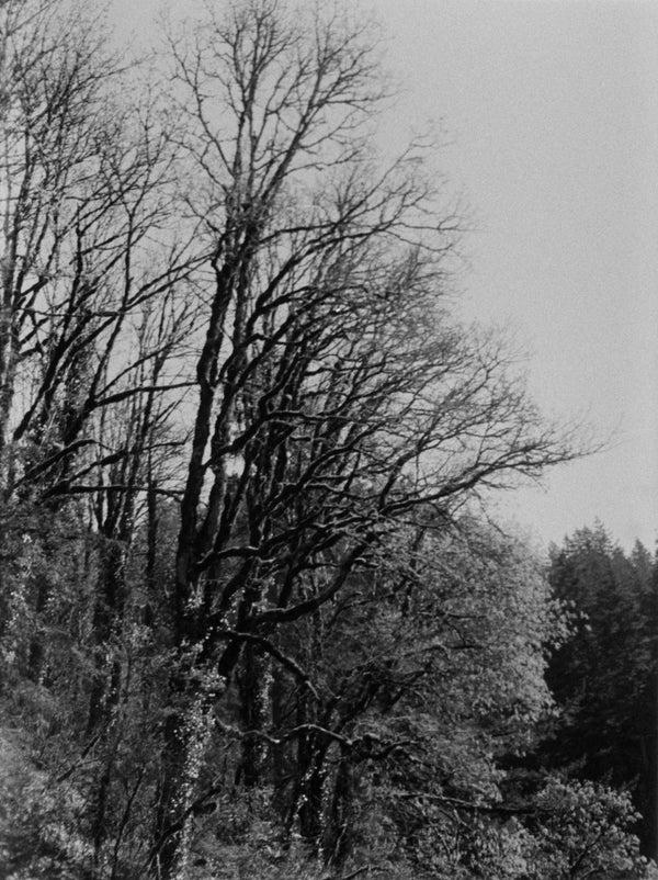 Photo shot on Pentax Auto 110, image 1