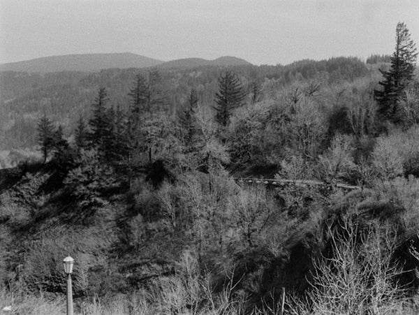 Photo shot on Pentax Auto 110, image 3