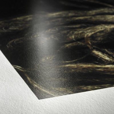 Fine Art Print - Hahnemuhle Photo Rag Baryta