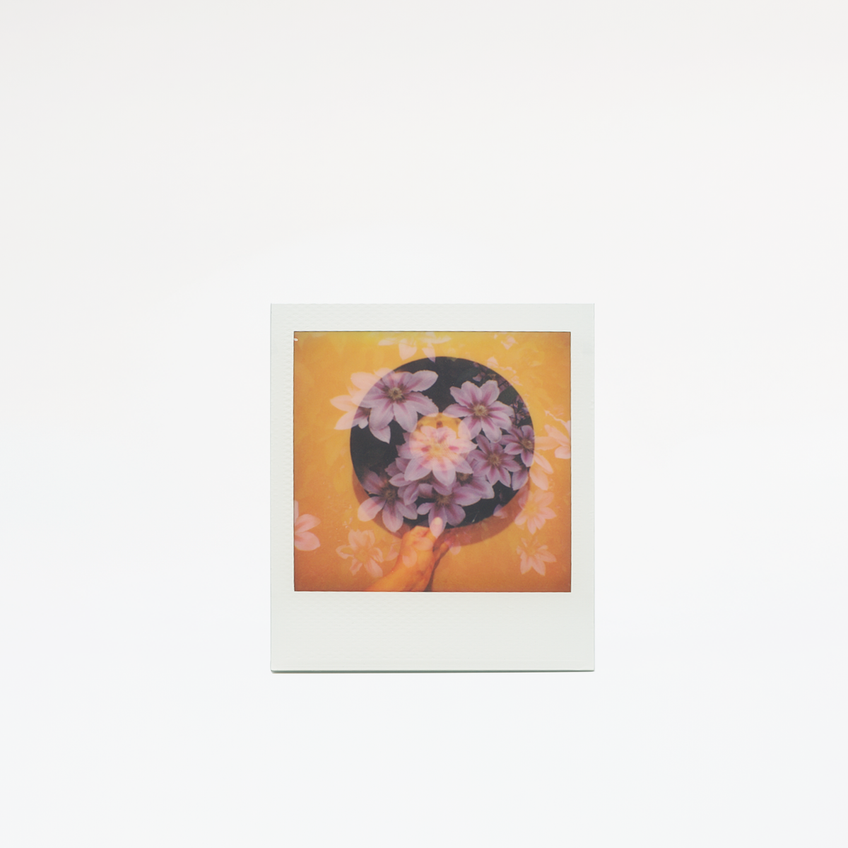 Polaroid GO :: Color Film
