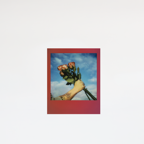 Polaroid GO | Color Film | Gradient Frames sample