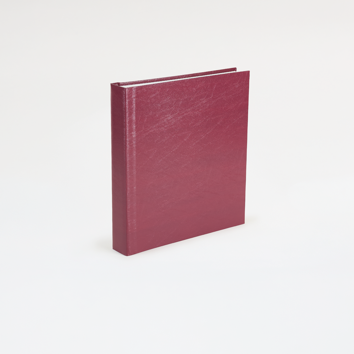 Instant Polaroid Photo Album - Large 128 Photos