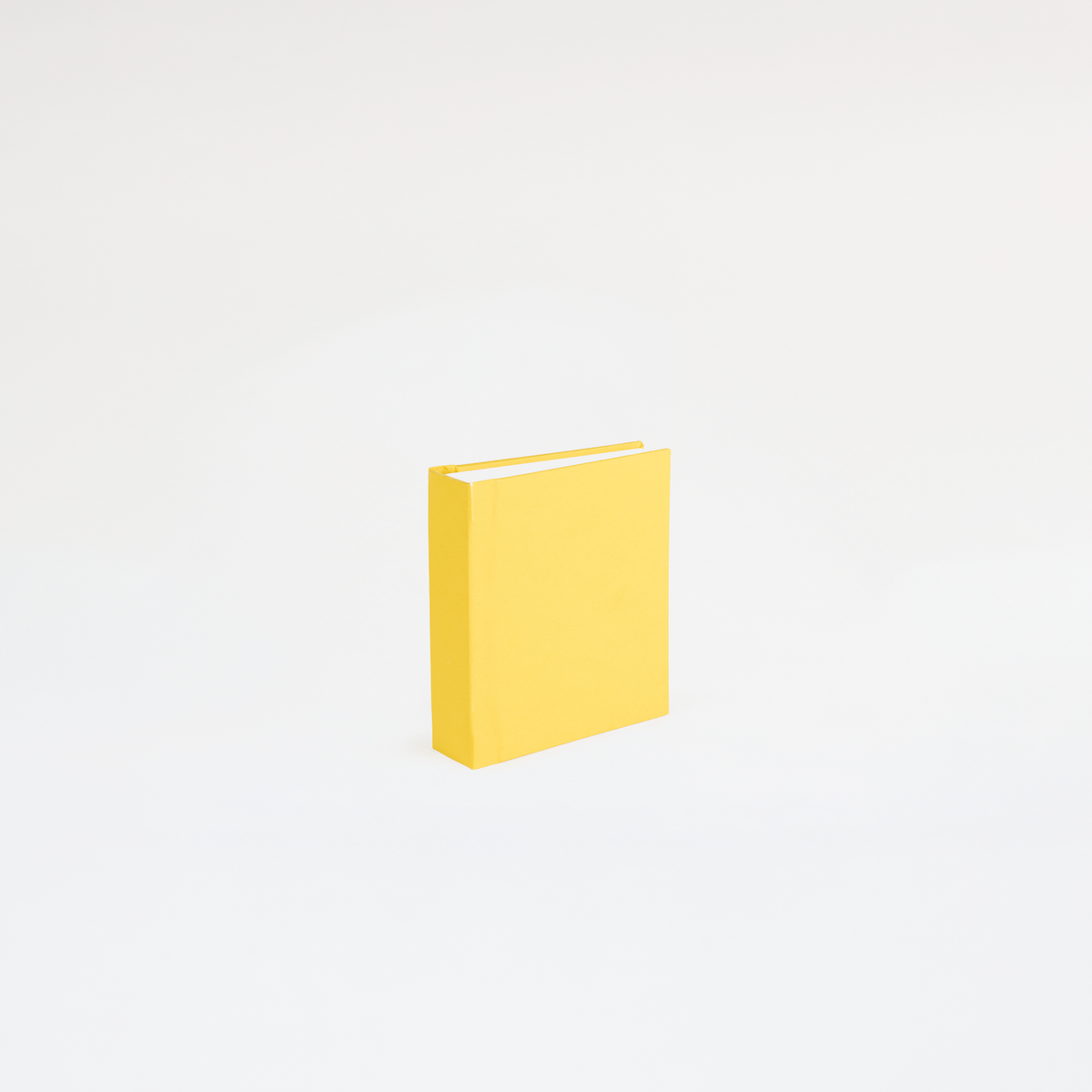 Instant Polaroid Photo Album - Small 32 Photos