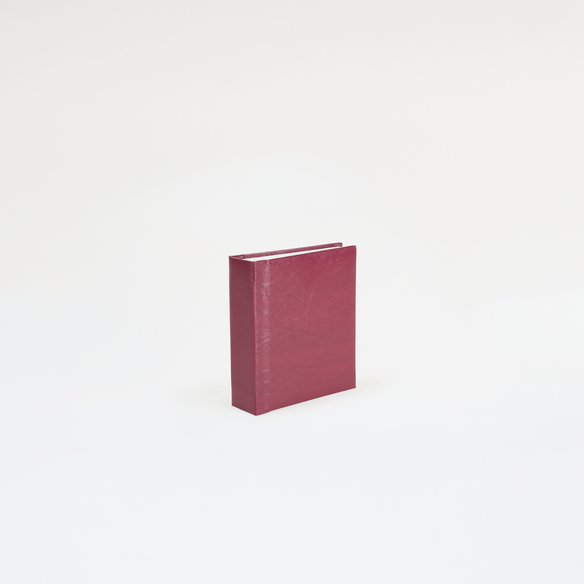 Instant Polaroid Photo Album - Small 32 Photos