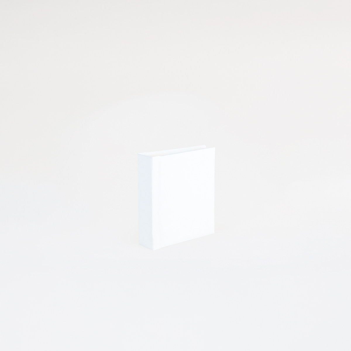 Instant Polaroid Photo Album - Small 32 Photos