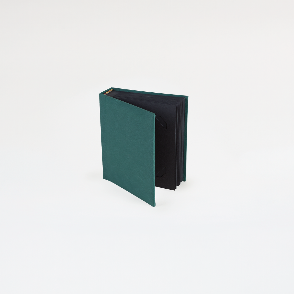 Instant Polaroid Photo Album - Small 32 Photos