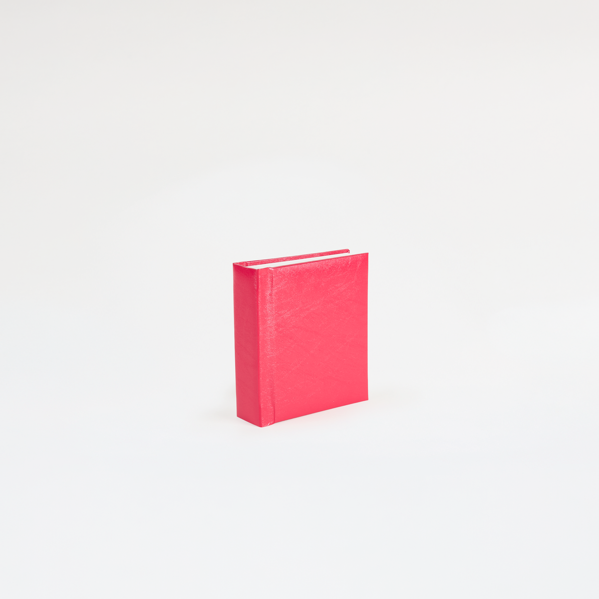 Instant Polaroid Photo Album - Small 32 Photos