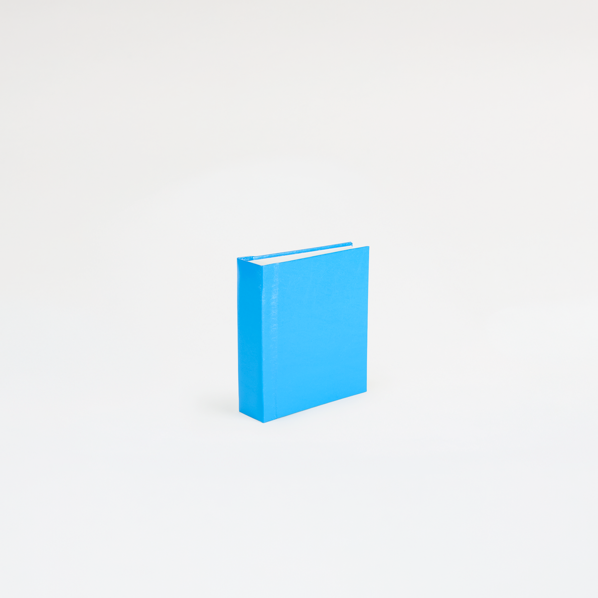 Instant Polaroid Photo Album - Small 32 Photos