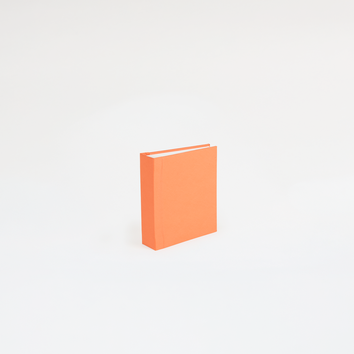 Instant Polaroid Photo Album - Small 32 Photos